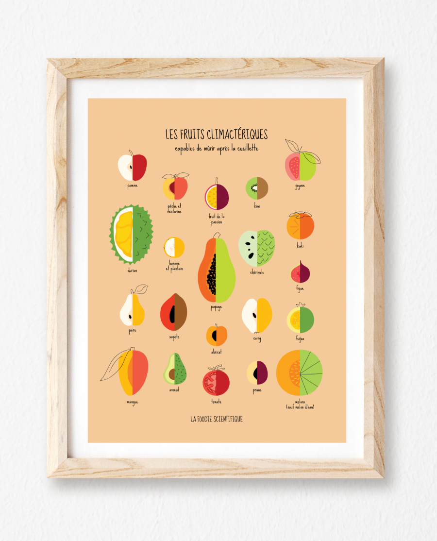 Affiche "Les fruits climactériques" Orangée